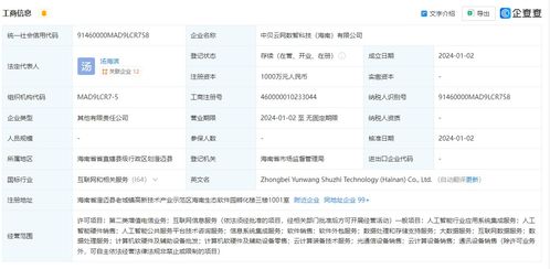 中貝通信在海南成立數智科技公司，拓展AI業務與信息系統集成服務