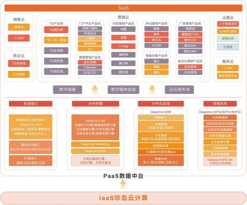 珍島Marketingforce五朵云 科技中介服務驅動企業數字化轉型騰飛